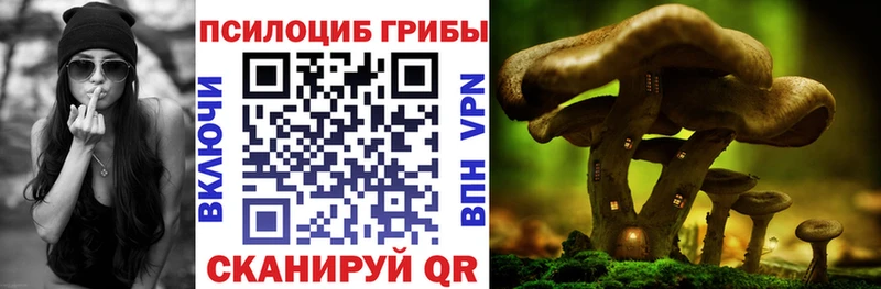 KRAKEN зеркало  Сухиничи  Галлюциногенные грибы прущие грибы 